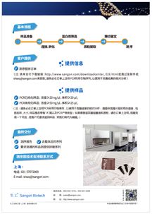 生工生物TA克隆技術 高效便捷的基因克隆解決方案